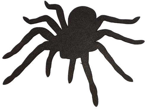 Ombre - Araignée